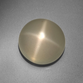13,66 ctw natürlicher cream Stern-Mondstein, Rundschliff, Lichtdurchlässig