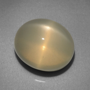 10,31 ctw natürlicher cream Stern-Mondstein, Oval Schliff, Lichtdurchlässig