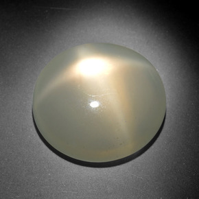 18,46 ctw natürlicher cream Stern-Mondstein, Oval Schliff, Lichtdurchlässig
