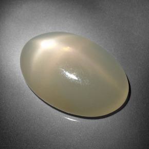 16,18 ctw natürlicher cream Stern-Mondstein, Oval Schliff, Lichtdurchlässig