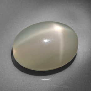 23,34 ctw natürlicher cream Stern-Mondstein, Oval Schliff, Lichtdurchlässig