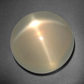 26,12 ctw natürlicher cream Stern-Mondstein, Rundschliff, Lichtdurchlässig