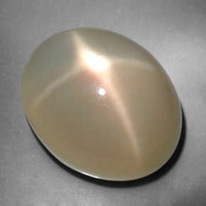 34,76 ctw natürlicher cream Stern-Mondstein, Oval Schliff, Lichtdurchlässig