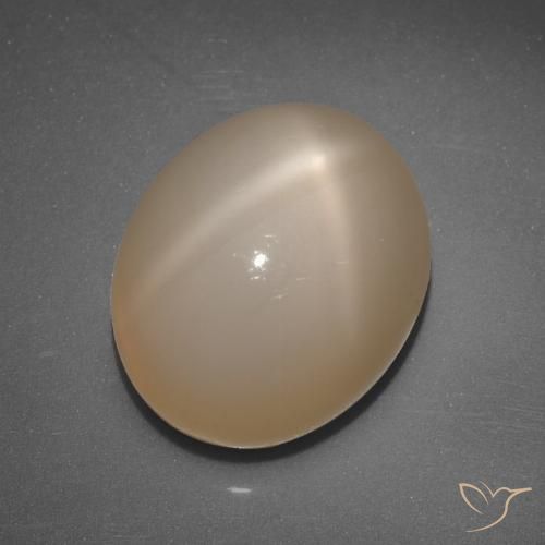 6.89ct Natürlicher Mittelorange Sternmondstein, Oval, Lichtdurchlässig