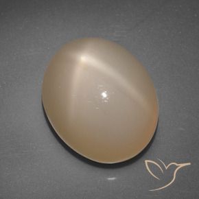 9,17 ctw natürlicher Mittelorange Sternmondstein, Oval, Lichtdurchlässig