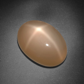 8,01 ctw natürlicher orangefarbener Stern-Mondstein, Oval Schliff, Lichtdurchlässig