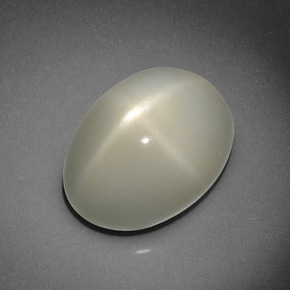10,16 ctw natürlicher cream Stern-Mondstein, Oval Schliff, Lichtdurchlässig