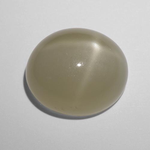 10,43 ctw natürlicher gelber Stern-Mondstein, Oval Schliff, Lichtdurchlässig