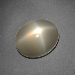 6,62 ctw natürlicher cream Stern-Mondstein, Oval Schliff, Lichtdurchlässig