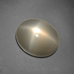 6,62 ctw natürlicher cream Stern-Mondstein, Oval Schliff, Lichtdurchlässig