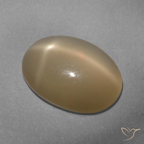 5.33ct Natürlicher Mitteldunkles Orange Sternmondstein, Oval, Lichtdurchlässig