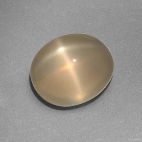 9,17 ctw natürlicher Creme Sternmondstein, Oval Schliff, Lichtdurchlässig
