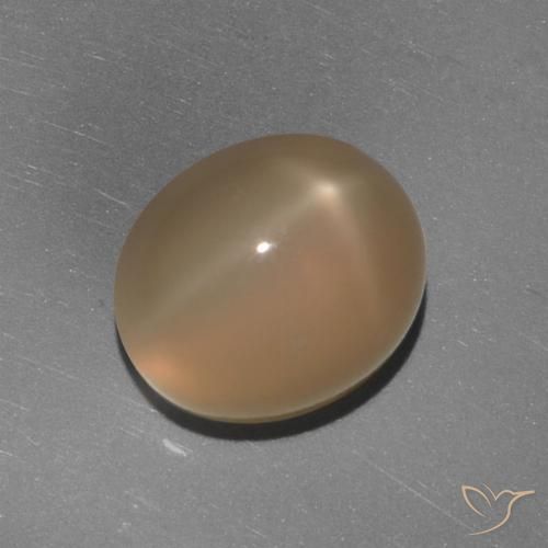 5.84ct Natürlicher Mitteldunkles Orange Sternmondstein, Oval, Lichtdurchlässig