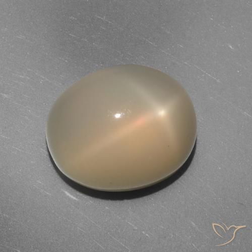 7.02ct Natürlicher Mittel-Hellorange Sternmondstein, Oval, Lichtdurchlässig