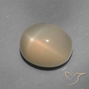 9,17 ctw natürlicher Mittel-Hellorange Sternmondstein, Oval, Lichtdurchlässig
