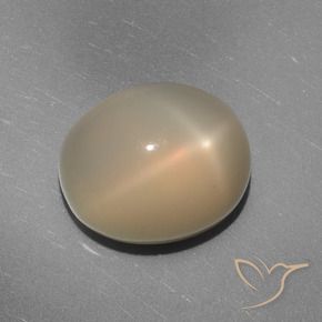 9,17 ctw natürlicher Mittel-Hellorange Sternmondstein, Oval, Lichtdurchlässig