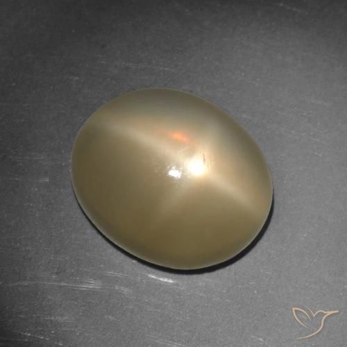 5.65ct Natürlicher Mitteldunkles Orange Sternmondstein, Oval, Lichtdurchlässig