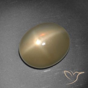 9,17 ctw natürlicher Mitteldunkles Orange Sternmondstein, Oval, Lichtdurchlässig