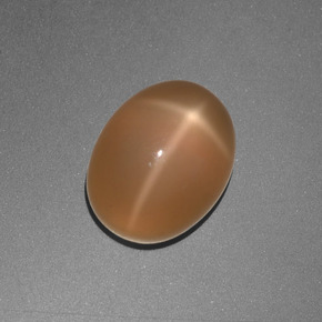 3,05 ctw natürlicher orangefarbener Stern-Mondstein, Oval Schliff, Lichtdurchlässig