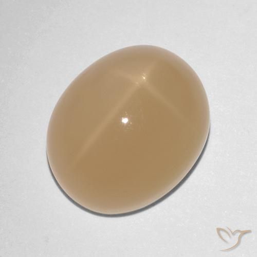7.88ct Natürlicher Cantaloupe-Orange Sternmondstein, Oval, Lichtdurchlässig