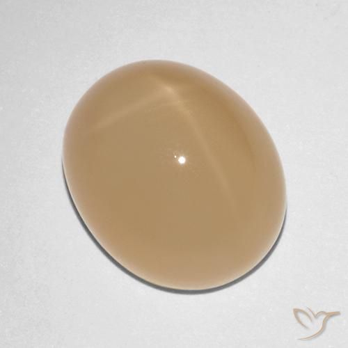 9,17 ctw natürlicher Cantaloupe-Orange Sternmondstein, Oval, Lichtdurchlässig