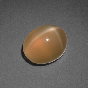 3,69 ctw natürlicher orangefarbener Stern-Mondstein, Oval Schliff, Lichtdurchlässig