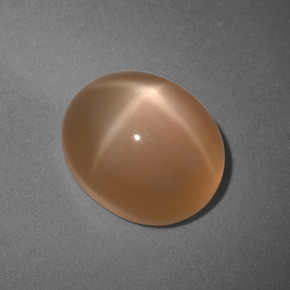 6,04 ctw natürlicher orangefarbener Stern-Mondstein, Oval Schliff, Lichtdurchlässig