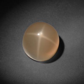 7,13 ctw natürlicher cream Stern-Mondstein, Rundschliff, Lichtdurchlässig