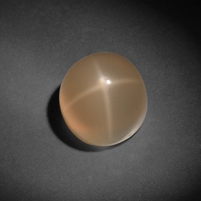 7,13 ctw natürlicher cream Stern-Mondstein, Rundschliff, Lichtdurchlässig