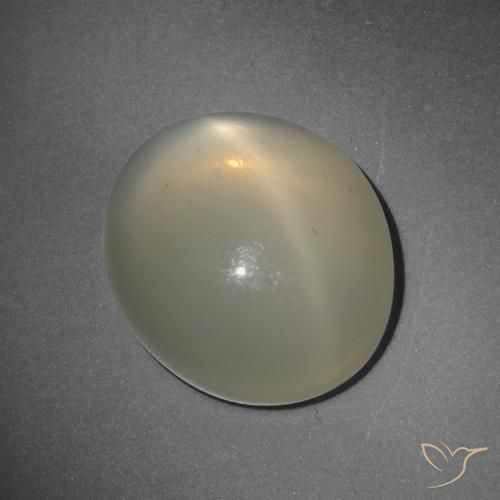 10.38ct Natürlicher hellgelb Sternmondstein, Oval, Lichtdurchlässig