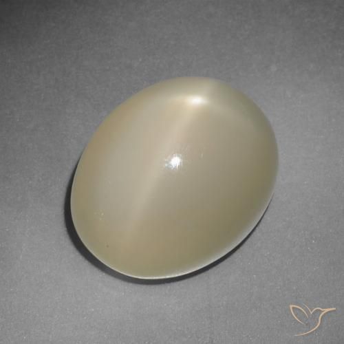 12,22 ctw natürlicher gelber Stern-Mondstein, Oval Schliff, Lichtdurchlässig