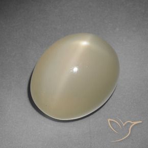 12,22 ctw natürlicher gelber Stern-Mondstein, Oval Schliff, Lichtdurchlässig