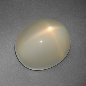 12,35 ctw natürlicher gelber Stern-Mondstein, Oval Schliff, Lichtdurchlässig