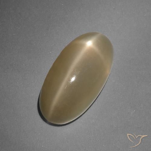 7.96ct Natürlicher Mitteldunkles Orange Sternmondstein, Oval, Lichtdurchlässig
