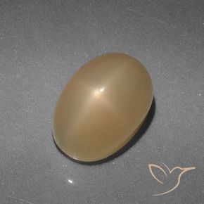 9,17 ctw natürlicher Golden Sternmondstein, Oval Schliff, Lichtdurchlässig