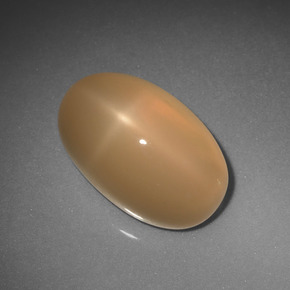 6,85 ctw natürlicher orangefarbener Stern-Mondstein, Oval Schliff, Lichtdurchlässig