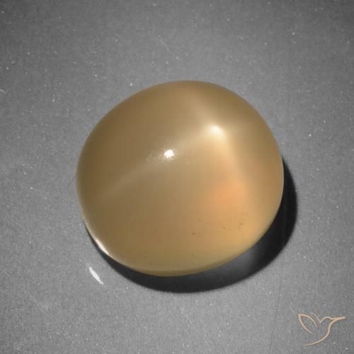 6.73ct Natürlicher Mittelorange Sternmondstein, Oval, Lichtdurchlässig
