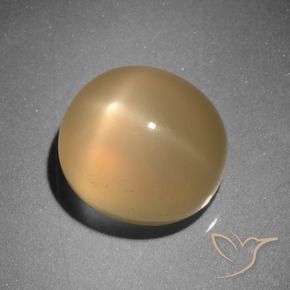 9,17 ctw natürlicher Mittelorange Sternmondstein, Oval, Lichtdurchlässig