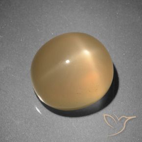 9,17 ctw natürlicher Mittelorange Sternmondstein, Oval, Lichtdurchlässig