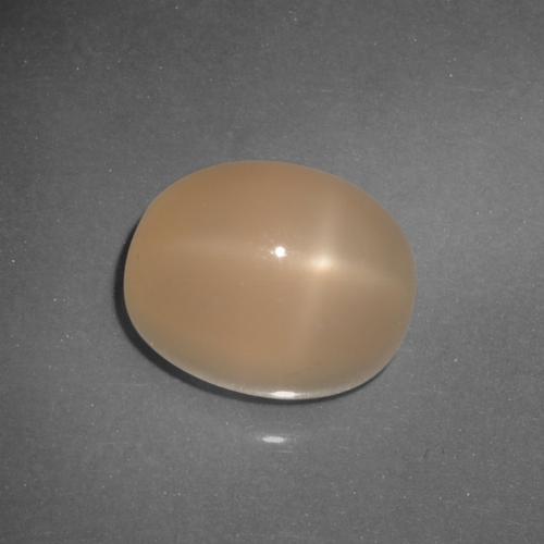 9,17 ctw natürlicher Mittelorange Sternmondstein, Oval Schliff, Lichtdurchlässig
