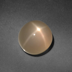 4,98 ctw natürlicher cream Stern-Mondstein, Rundschliff, Lichtdurchlässig
