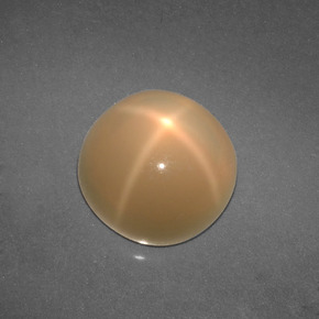 4,57 ctw natürlicher cream Stern-Mondstein, Rundschliff, Lichtdurchlässig
