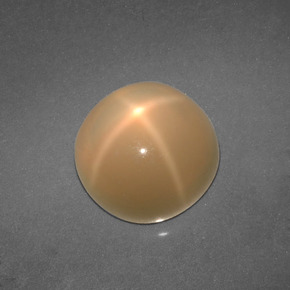 4,57 ctw natürlicher cream Stern-Mondstein, Rundschliff, Lichtdurchlässig
