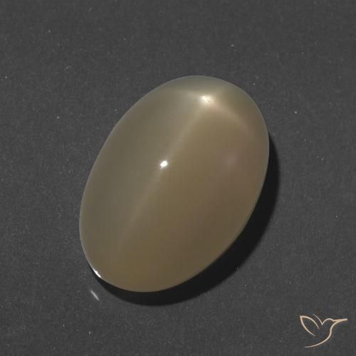 9.46ct Natürlicher Mitteldunkles Orange Sternmondstein, Oval, Lichtdurchlässig