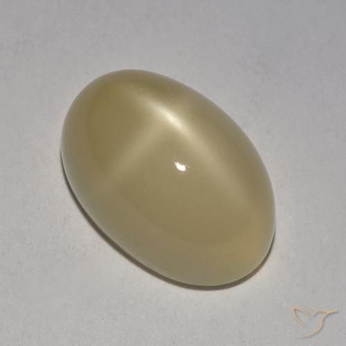 5.38ct Natürlicher Hellbraun Sternmondstein, Oval, Lichtdurchlässig, Photo A