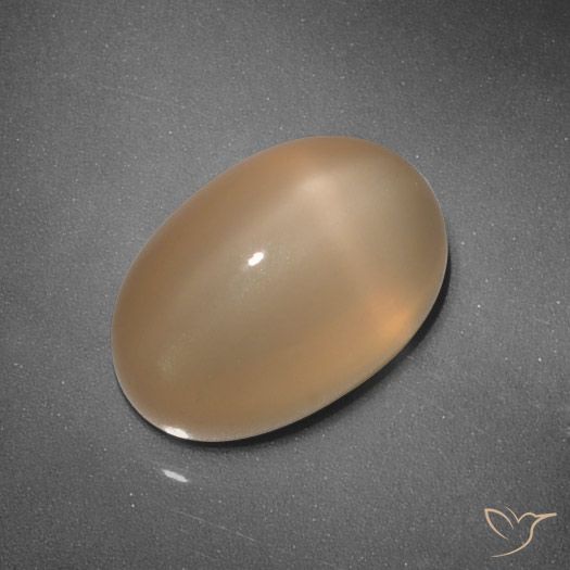 5.37ct Natürlicher Mittelorange Sternmondstein, Oval, Lichtdurchlässig, Photo A