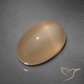 9,17 ctw natürlicher Mittelorange Sternmondstein, Oval, Lichtdurchlässig
