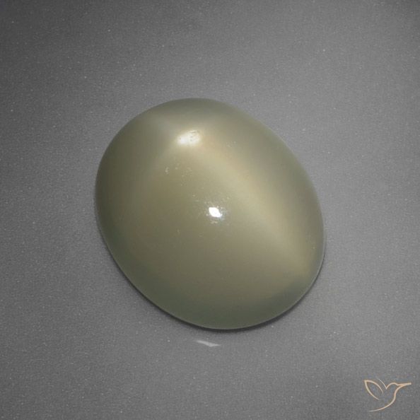 5.67ct Natürlicher Mittel Gelb-Grau Sternmondstein, Oval, Lichtdurchlässig