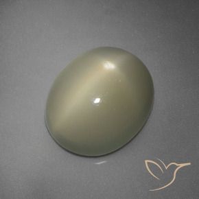 9,17 ctw natürlicher Mittel Gelb-Grau Sternmondstein, Oval, Lichtdurchlässig