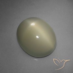 9,17 ctw natürlicher Mittel Gelb-Grau Sternmondstein, Oval, Lichtdurchlässig
